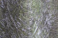 Hopworthy fibreglass roof work